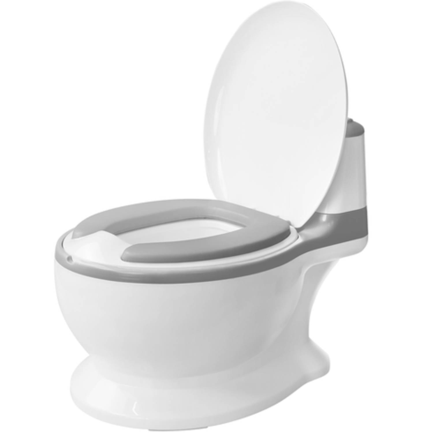 Potty Training Toilet