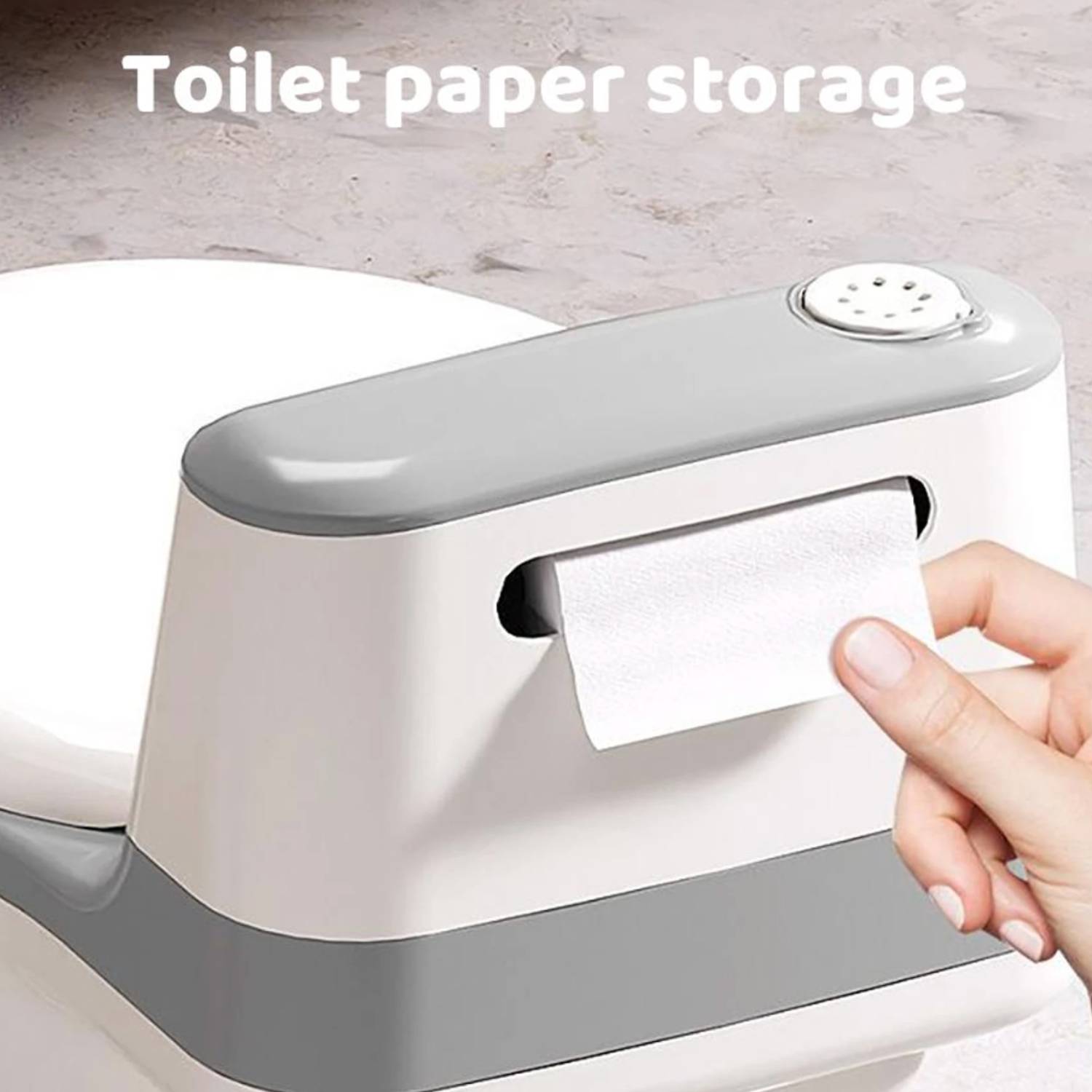 Potty Training Toilet