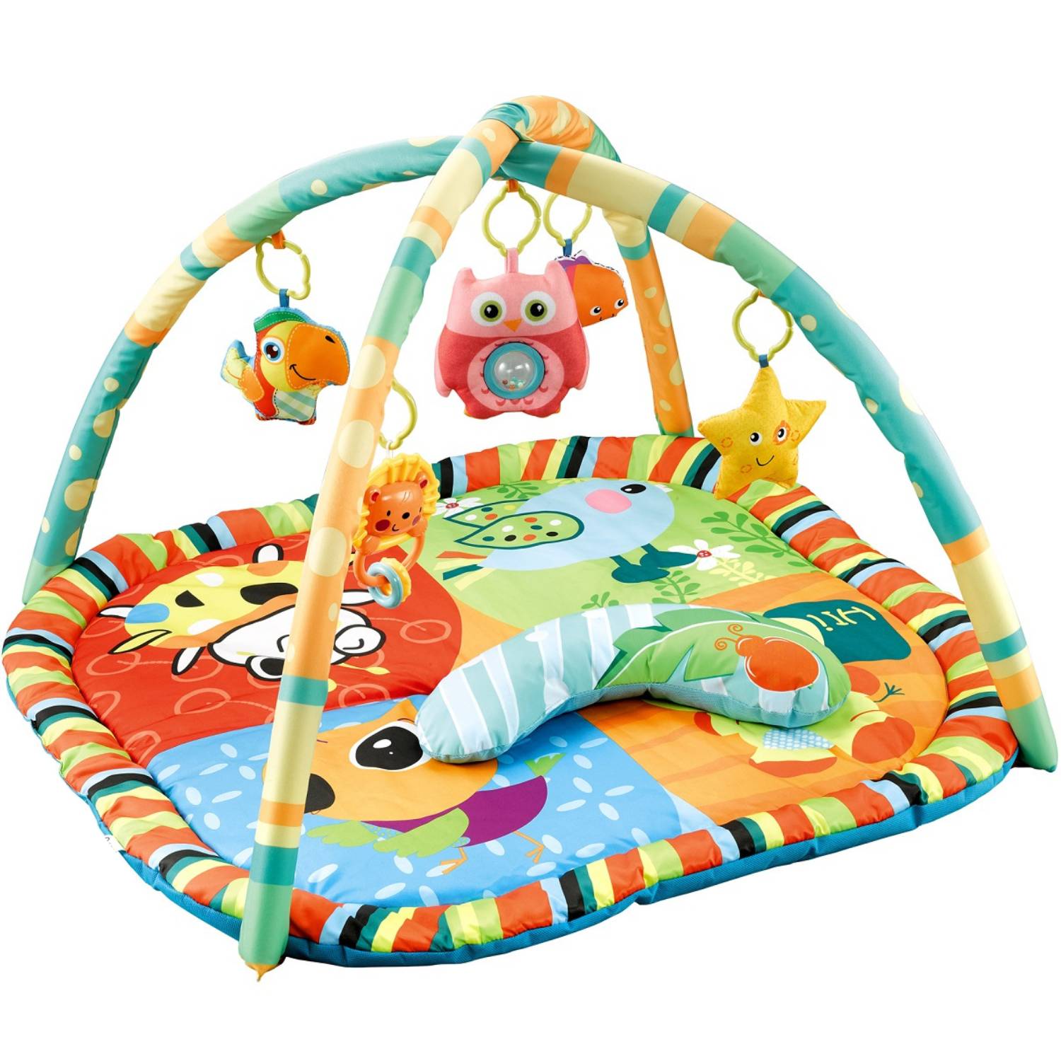 Baby Play Gym