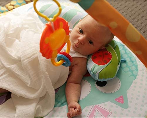 Baby Play Gym