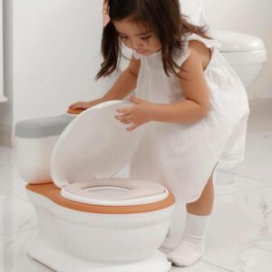 buy potty trainer toilet